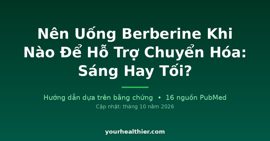 Nên Uống Berberine Khi Nào Để Hỗ Trợ Chuyển Hóa: Sáng Hay Tối?