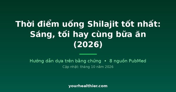 Thời điểm uống Shilajit tốt nhất: Sáng, tối hay cùng bữa ăn (2026)