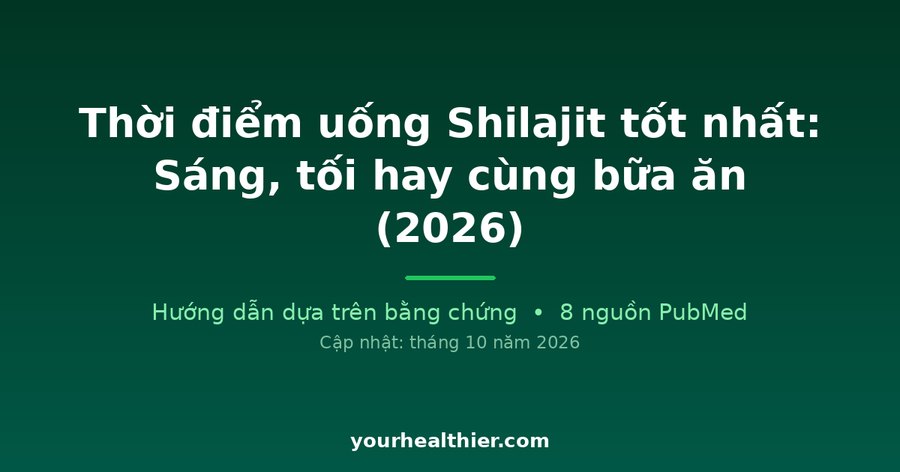 Thời điểm uống Shilajit tốt nhất: Sáng, tối hay cùng bữa ăn (2026)