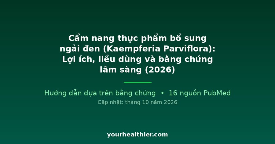 Cẩm nang thực phẩm bổ sung ngải đen (Kaempferia Parviflora): Lợi ích, liều dùng và bằng chứng lâm sàng (2026)