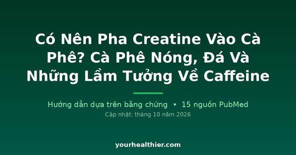 Có Nên Pha Creatine Vào Cà Phê? Cà Phê Nóng, Đá Và Những Lầm Tưởng Về Caffeine