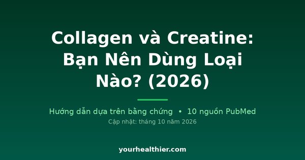 Collagen và Creatine: Bạn Nên Dùng Loại Nào? (2026)