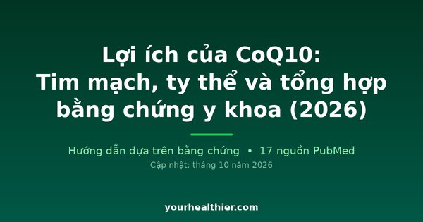 Lợi ích của CoQ10: Tim mạch, ty thể và tổng hợp bằng chứng y khoa (2026)