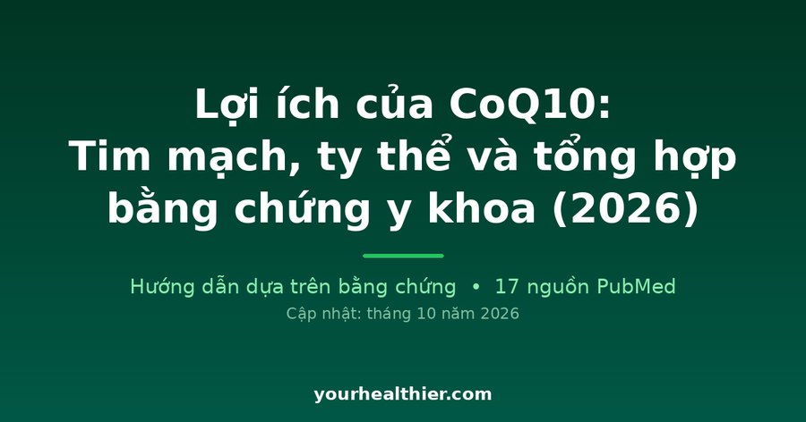 Lợi ích của CoQ10: Tim mạch, ty thể và tổng hợp bằng chứng y khoa (2026)