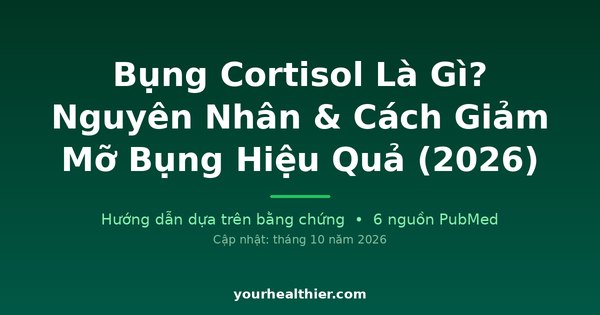 Bụng Cortisol Là Gì? Nguyên Nhân & Cách Giảm Mỡ Bụng Hiệu Quả (2026)
