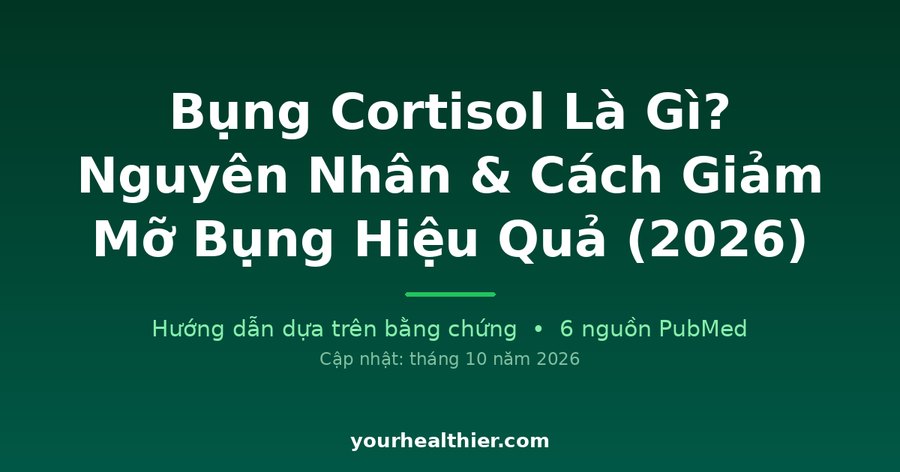Bụng Cortisol Là Gì? Nguyên Nhân & Cách Giảm Mỡ Bụng Hiệu Quả (2026)