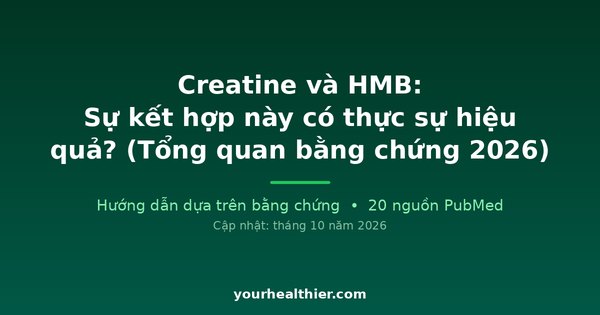Creatine và HMB: Sự kết hợp này có thực sự hiệu quả? (Tổng quan bằng chứng 2026)