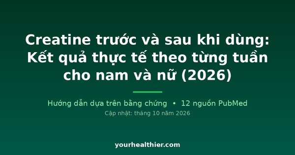 Creatine trước và sau khi dùng: Kết quả thực tế theo từng tuần cho nam và nữ (2026)