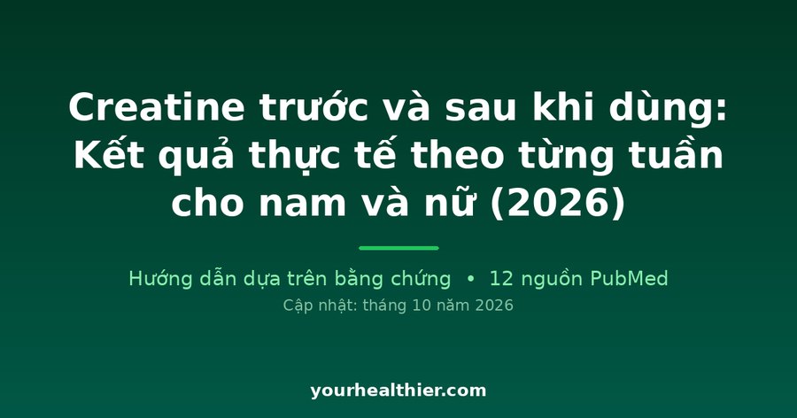 Creatine trước và sau khi dùng: Kết quả thực tế theo từng tuần cho nam và nữ (2026)