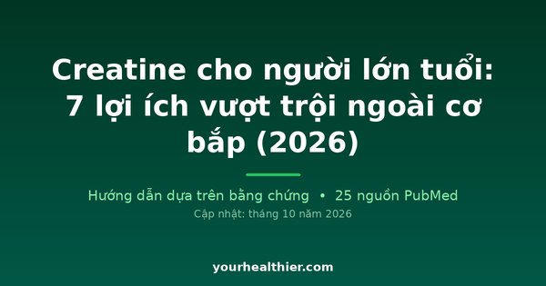 Creatine cho người lớn tuổi: 7 lợi ích vượt trội ngoài cơ bắp (2026)