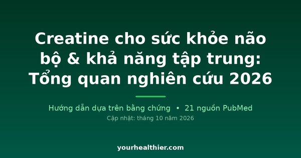 Creatine cho sức khỏe não bộ & khả năng tập trung: Tổng quan nghiên cứu 2026