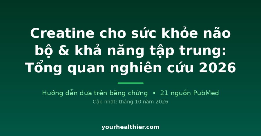 Creatine cho sức khỏe não bộ & khả năng tập trung: Tổng quan nghiên cứu 2026