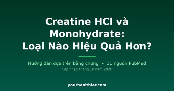 Creatine HCl và Monohydrate: Loại Nào Hiệu Quả Hơn?