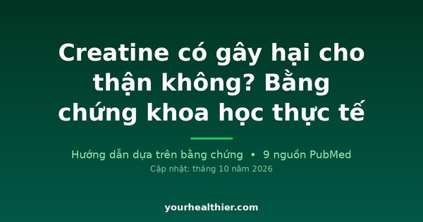 Creatine có gây hại cho thận không? Bằng chứng khoa học thực tế
