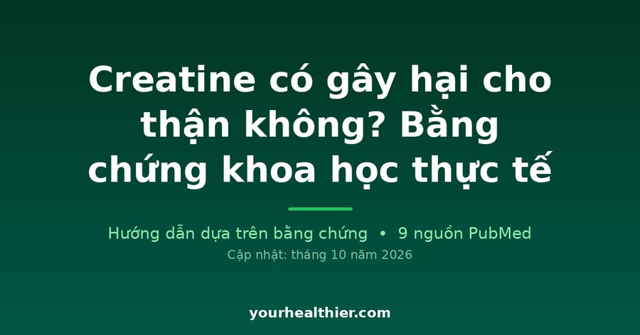 Creatine có gây hại cho thận không? Bằng chứng khoa học thực tế