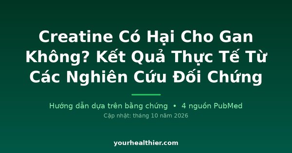 Creatine Có Hại Cho Gan Không? Kết Quả Thực Tế Từ Các Nghiên Cứu Đối Chứng