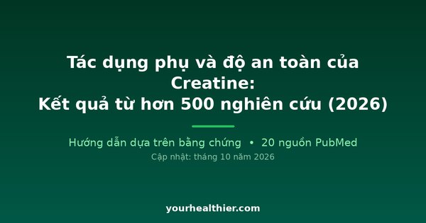 Tác dụng phụ và độ an toàn của Creatine: Kết quả từ hơn 500 nghiên cứu (2026)