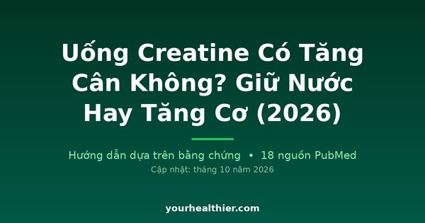 Uống Creatine Có Tăng Cân Không? Giữ Nước Hay Tăng Cơ (2026)