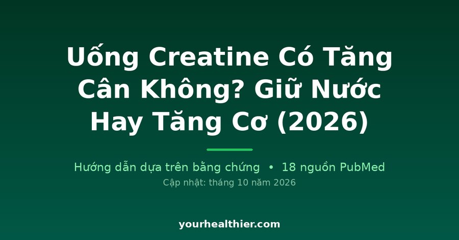 Uống Creatine Có Tăng Cân Không? Giữ Nước Hay Tăng Cơ (2026)