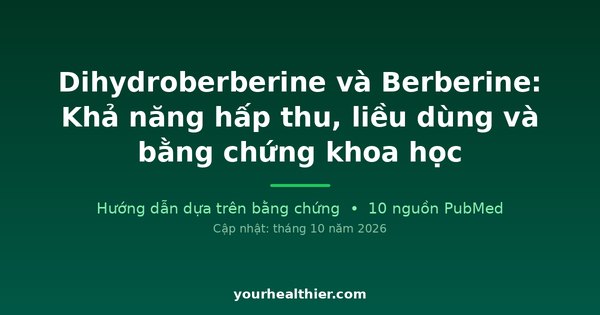 Dihydroberberine và Berberine: Khả năng hấp thu, liều dùng và bằng chứng khoa học