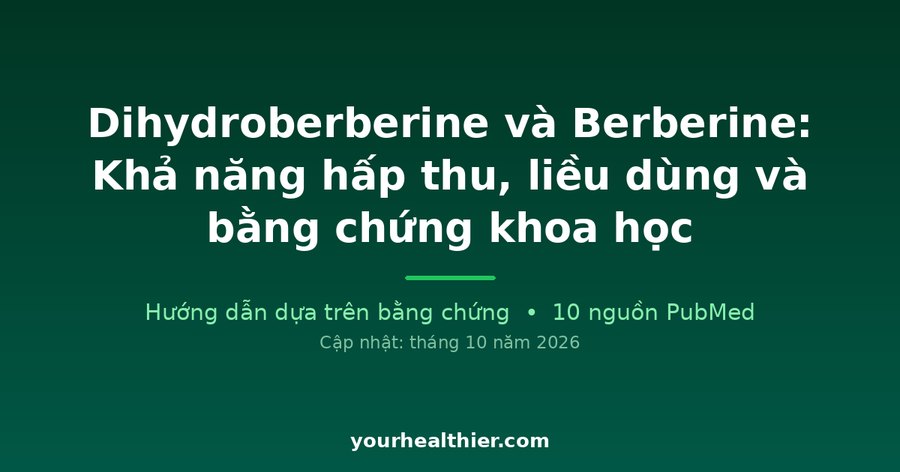 Dihydroberberine và Berberine: Khả năng hấp thu, liều dùng và bằng chứng khoa học