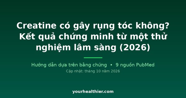 Creatine có gây rụng tóc không? Kết quả chứng minh từ một thử nghiệm lâm sàng (2026)
