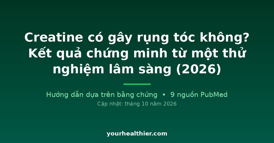 Creatine có gây rụng tóc không? Kết quả chứng minh từ một thử nghiệm lâm sàng (2026)