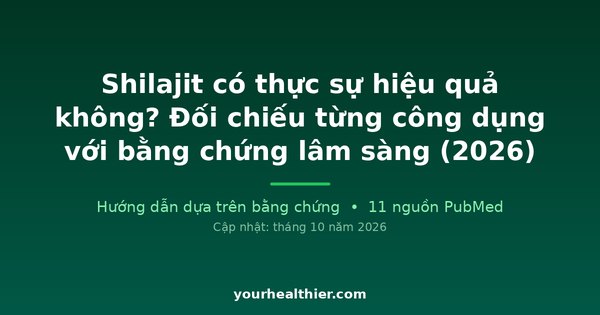 Shilajit có thực sự hiệu quả không? Đối chiếu từng công dụng với bằng chứng lâm sàng (2026)