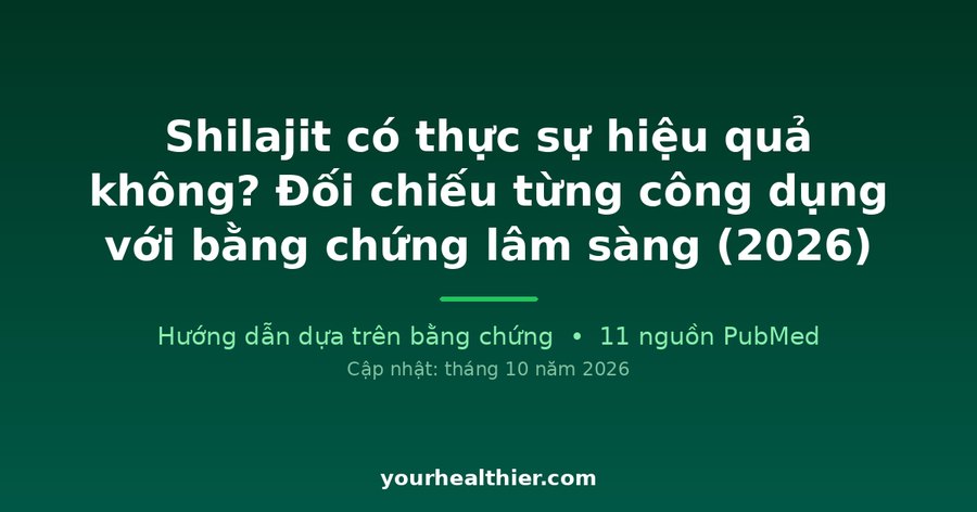 Shilajit có thực sự hiệu quả không? Đối chiếu từng công dụng với bằng chứng lâm sàng (2026)