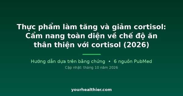 Thực phẩm làm tăng và giảm cortisol: Cẩm nang toàn diện về chế độ ăn thân thiện với cortisol (2026)