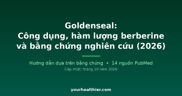 Goldenseal: Công dụng, hàm lượng berberine và bằng chứng nghiên cứu (2026)