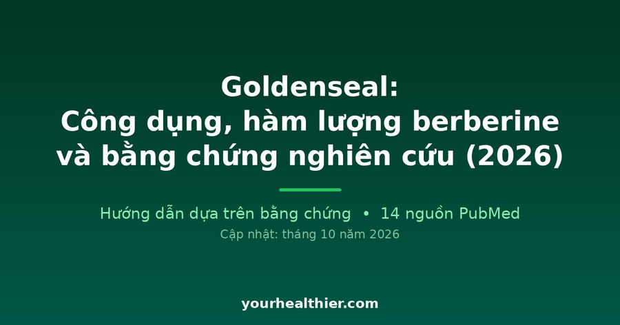Goldenseal: Công dụng, hàm lượng berberine và bằng chứng nghiên cứu (2026)