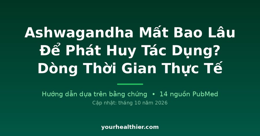 Ashwagandha Mất Bao Lâu Để Phát Huy Tác Dụng? Dòng Thời Gian Thực Tế