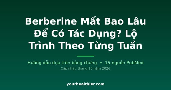 Berberine Mất Bao Lâu Để Có Tác Dụng? Lộ Trình Theo Từng Tuần