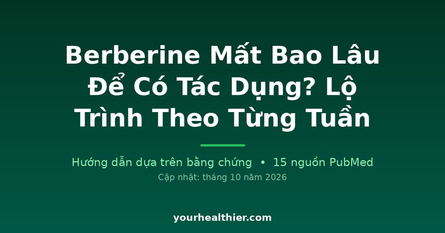 Berberine Mất Bao Lâu Để Có Tác Dụng? Lộ Trình Theo Từng Tuần