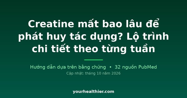 Creatine mất bao lâu để phát huy tác dụng? Lộ trình chi tiết theo từng tuần