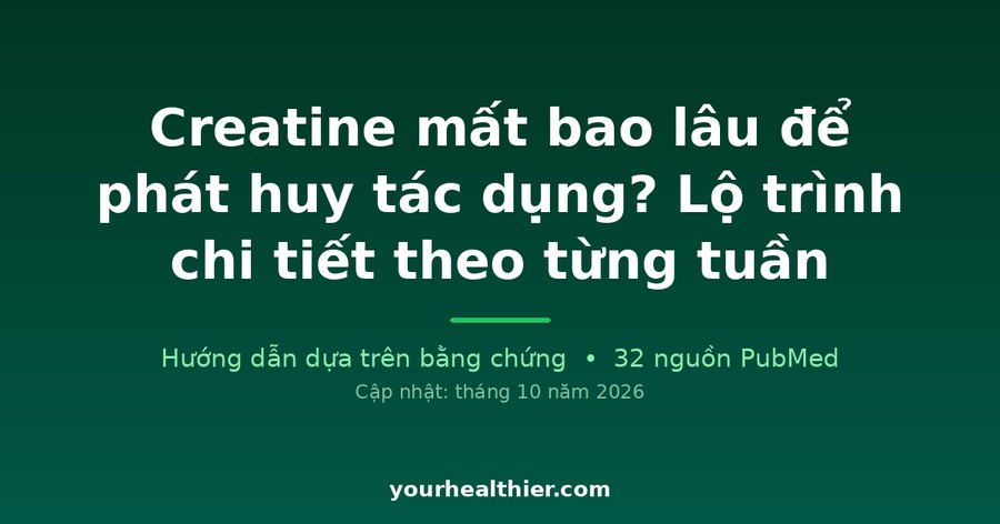 Creatine mất bao lâu để phát huy tác dụng? Lộ trình chi tiết theo từng tuần