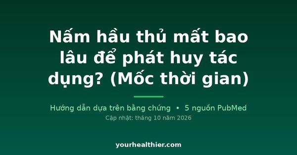 Nấm hầu thủ mất bao lâu để phát huy tác dụng? (Mốc thời gian)