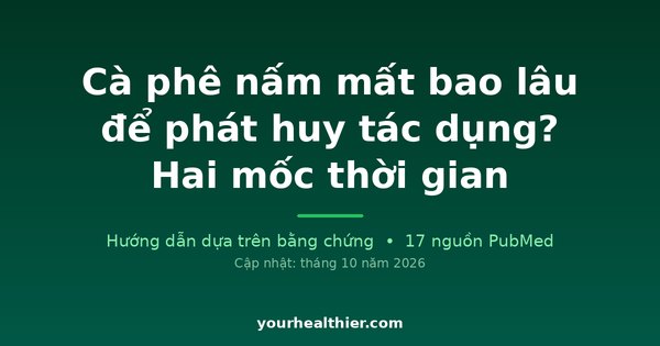 Cà phê nấm mất bao lâu để phát huy tác dụng? Hai mốc thời gian
