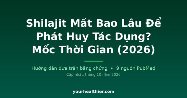 Shilajit Mất Bao Lâu Để Phát Huy Tác Dụng? Mốc Thời Gian (2026)