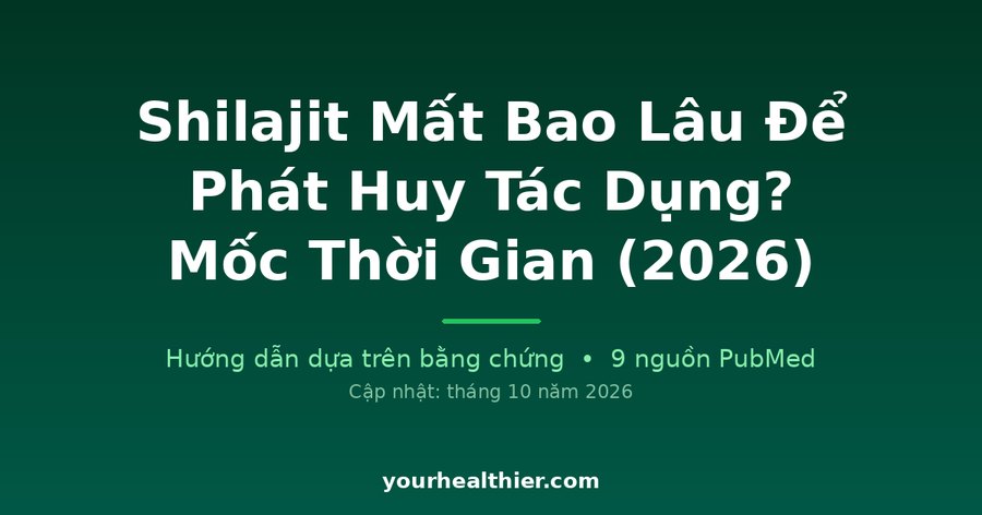 Shilajit Mất Bao Lâu Để Phát Huy Tác Dụng? Mốc Thời Gian (2026)