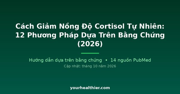 Cách Giảm Nồng Độ Cortisol Tự Nhiên: 12 Phương Pháp Dựa Trên Bằng Chứng (2026)