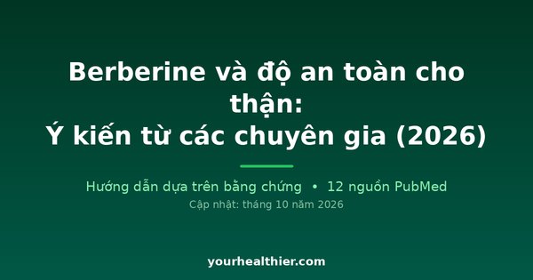Berberine và độ an toàn cho thận: Ý kiến từ các chuyên gia (2026)