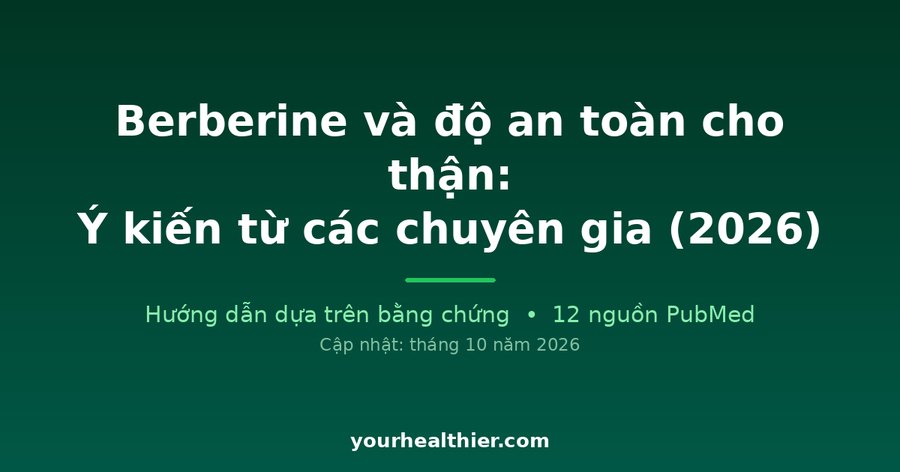 Berberine và độ an toàn cho thận: Ý kiến từ các chuyên gia (2026)