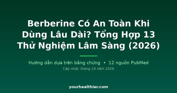 Berberine Có An Toàn Khi Dùng Lâu Dài? Tổng Hợp 13 Thử Nghiệm Lâm Sàng (2026)