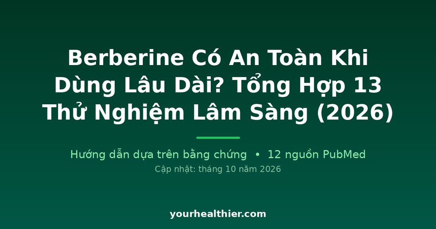 Berberine Có An Toàn Khi Dùng Lâu Dài? Tổng Hợp 13 Thử Nghiệm Lâm Sàng (2026)