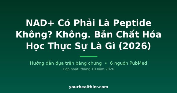 NAD+ Có Phải Là Peptide Không? Không. Bản Chất Hóa Học Thực Sự Là Gì (2026)