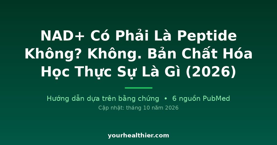 NAD+ Có Phải Là Peptide Không? Không. Bản Chất Hóa Học Thực Sự Là Gì (2026)