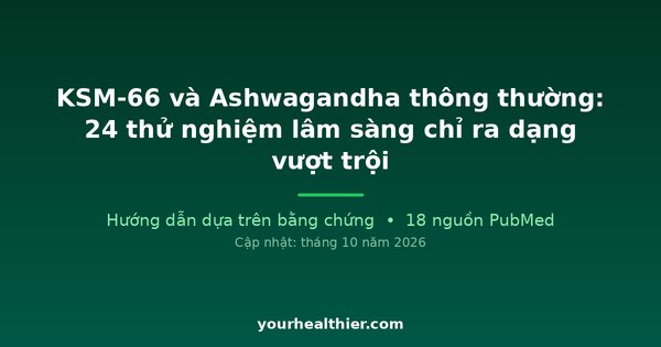 KSM-66 và Ashwagandha thông thường: 24 thử nghiệm lâm sàng chỉ ra dạng vượt trội
