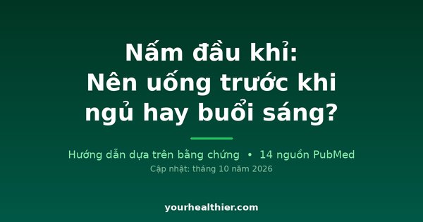 Nấm đầu khỉ: Nên uống trước khi ngủ hay buổi sáng?